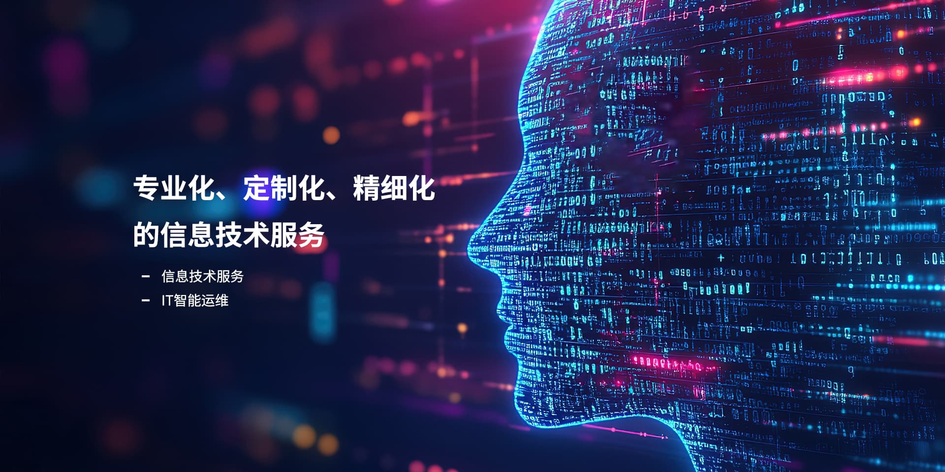专业化、、定制化、、、精细化的信息技术服务_94